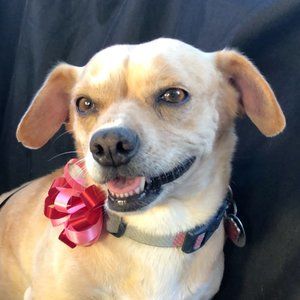 Meet your Posher, Adriel